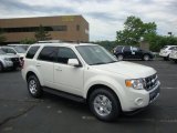 2010 White Suede Ford Escape Limited V6 4WD #31391922