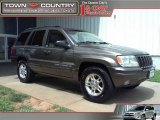 1999 Taupe Frost Metallic Jeep Grand Cherokee Limited 4x4 #31392103