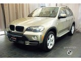 2010 BMW X5 xDrive30i