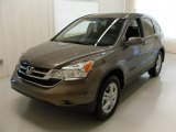 2010 Urban Titanium Metallic Honda CR-V EX-L #31478538