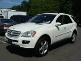 2008 Mercedes-Benz ML 350 4Matic