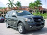 2007 Carbon Metallic Ford Expedition Limited #31478018