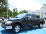 2010 Tuxedo Black Ford F150 XLT SuperCrew #31478043