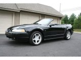 2000 Black Ford Mustang GT Convertible #31536738