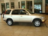 2001 Naples Gold Metallic Honda CR-V Special Edition 4WD #31536923