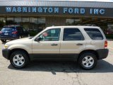 2007 Dune Pearl Metallic Ford Escape XLT V6 4WD #31536733