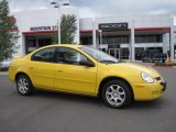 2004 Solar Yellow Dodge Neon SXT #31584807