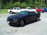 2010 Black Ford Mustang V6 Premium Convertible #31585403
