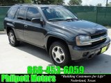 2007 Graphite Metallic Chevrolet TrailBlazer LS #31585135