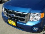 2010 Sport Blue Metallic Ford Escape XLT #31584950