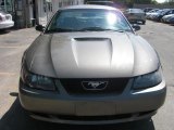 2002 Mineral Grey Metallic Ford Mustang V6 Coupe #31712392