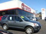 2006 Pewter Pearl Honda CR-V LX #3172367