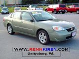 2006 Silver Green Metallic Chevrolet Malibu LT V6 Sedan #31851326