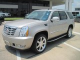 2007 Gold Mist Cadillac Escalade  #31900745