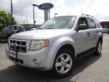 2008 Silver Metallic Ford Escape XLT V6 #31900339