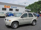 2005 Gold Ash Metallic Ford Escape Limited 4WD #31963891