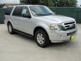 2010 Ingot Silver Metallic Ford Expedition XLT #31964100