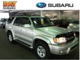 2001 Millennium Silver Metallic Toyota 4Runner Limited 4x4 #31963917