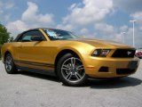 2010 Sunset Gold Metallic Ford Mustang V6 Premium Convertible #31963821