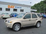 2007 Dune Pearl Metallic Ford Escape XLT V6 4WD #31963890