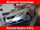 2010 Bright Silver Kia Forte EX #32025369