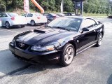 2004 Black Ford Mustang GT Coupe #32098271