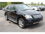 2007 Mercedes-Benz ML 350 4Matic