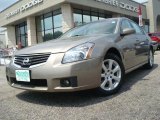 2008 Pebble Beach Metallic Nissan Maxima 3.5 SL #32150977