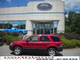 2007 Redfire Metallic Ford Escape XLT V6 4WD #32177658