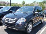 2010 Black Mercedes-Benz ML 350 BlueTEC 4Matic #32178336