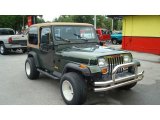 1995 Moss Green Pearl Jeep Wrangler Rio Grande 4x4 #32268949