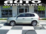 2007 Platinum Metallic Hyundai Tucson GLS #32268953