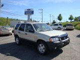 2003 Ford Escape XLT V6 4WD