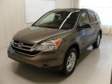 2010 Urban Titanium Metallic Honda CR-V EX #32269190