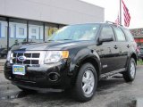 2008 Black Ford Escape XLS 4WD #32269055