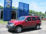 2006 Ford Escape XLT V6 4WD