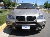 2008 Platinum Bronze Metallic BMW X5 3.0si #32340605