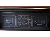 1983 AMC Eagle Series 30 Wagon Gauges