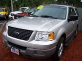 2003 Silver Birch Metallic Ford Expedition XLT #32391729