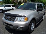 2005 Silver Birch Metallic Ford Expedition XLT #32391873