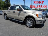 2010 Ford F150 XLT SuperCrew