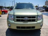 2009 Ford Escape Hybrid 4WD Exterior