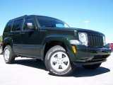 2010 Natural Green Pearl Jeep Liberty Sport 4x4 #32466378