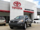 2007 Flint Mica Toyota RAV4 Sport #32466527