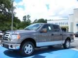 2010 Sterling Grey Metallic Ford F150 XLT SuperCrew #32466549
