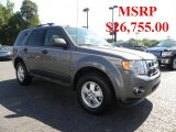 2010 Sterling Grey Metallic Ford Escape XLT #32534836