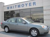 2004 Medium Gray Metallic Chevrolet Malibu LS V6 Sedan #32535267