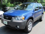 2007 Vista Blue Metallic Ford Escape XLT 4WD #32604828