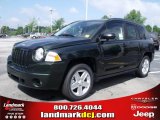2010 Natural Green Pearl Jeep Compass Sport #32965832