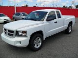 Stone White Dodge Dakota in 2010